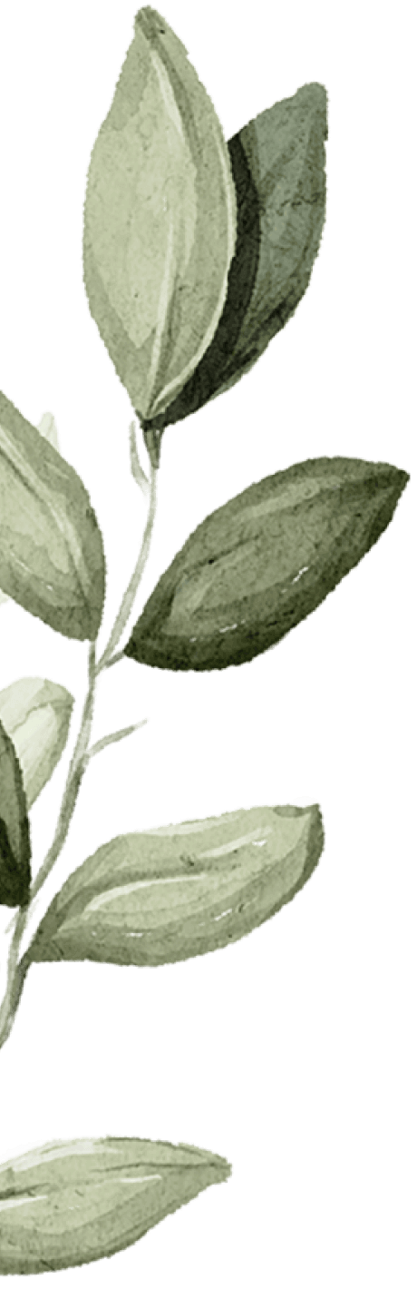 branch